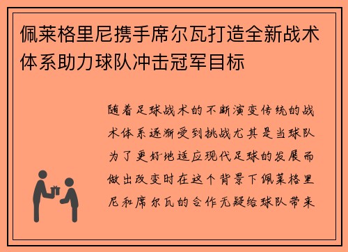 佩莱格里尼携手席尔瓦打造全新战术体系助力球队冲击冠军目标